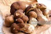 Corso formativo di preparazione ed esami per il rilascio dell’idoneità alla vendita per gli esercenti il commercio di funghi epigei freschi