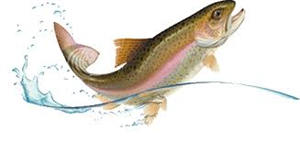 Concessione della Riserva Comunale di Pesca TESSO E TESSUOLO e per il diritto esclusivo del diritto di pesca per anni 5